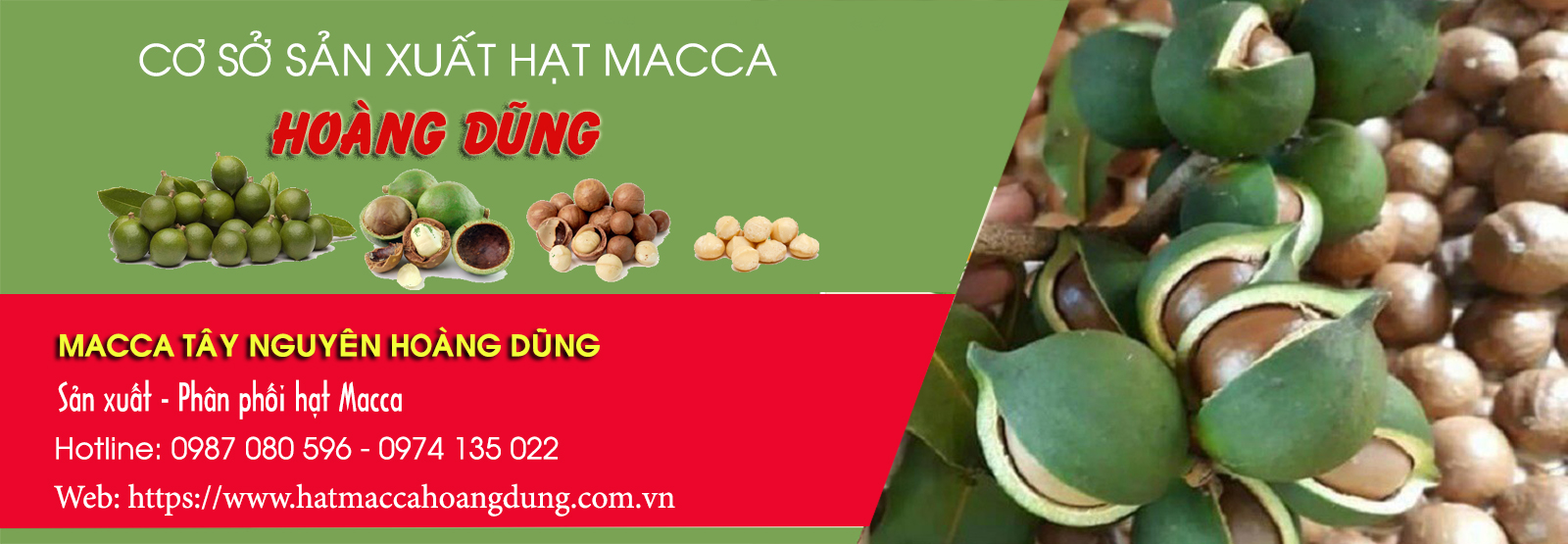 mua bán hạt macca tây nguyên