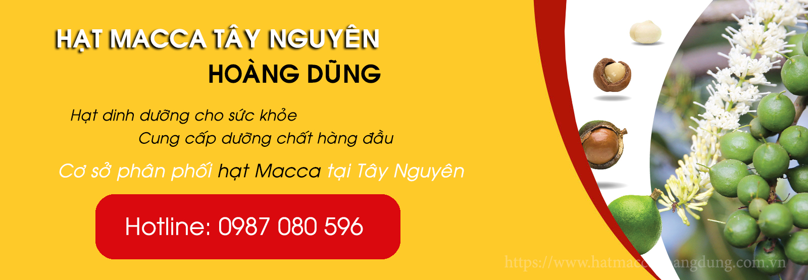 sản xuất hạt macca tây nguyên