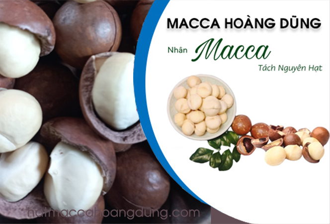 hạt macca tây nguyên