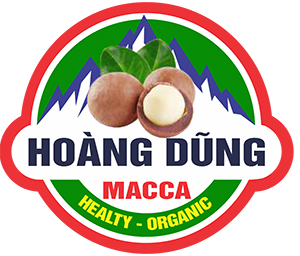 hạt macca tay nguyên